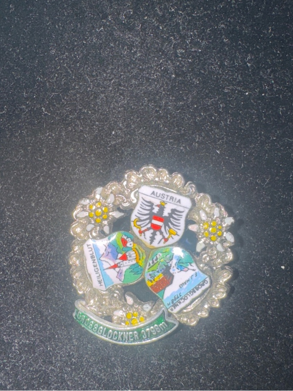 Austria Souvenir Enamel Crest Pin in Gold and Multicolor